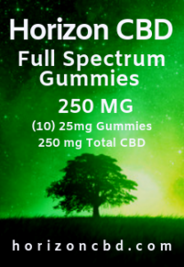 Full Spectrum Gummies 250 MG